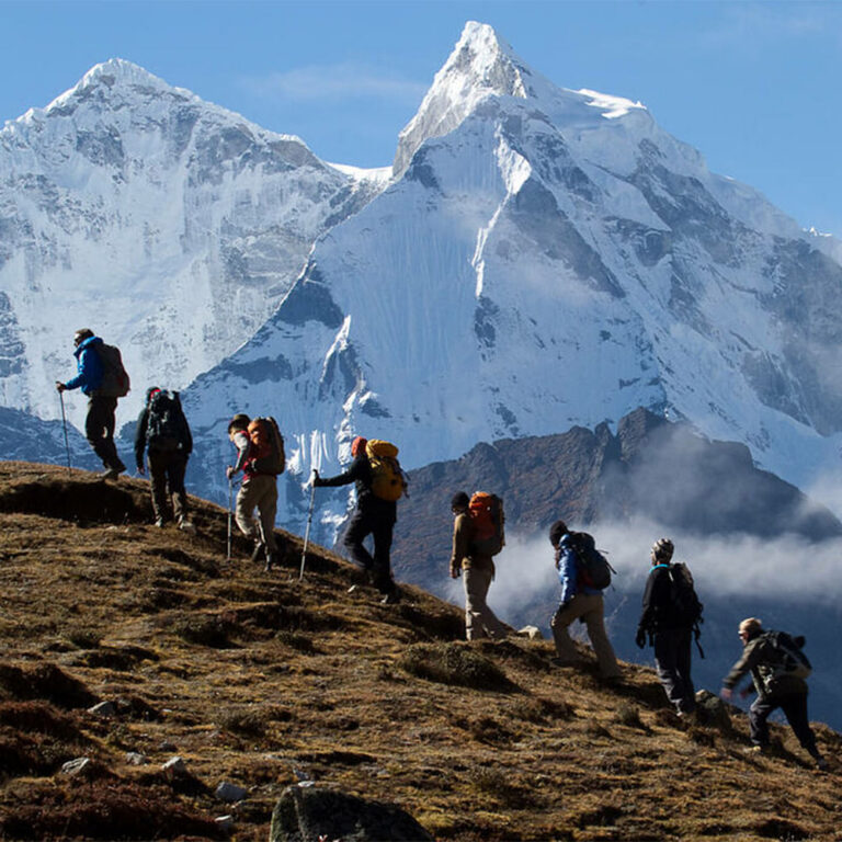 Guided jungle hiking expedition through ancient Himalayan pine and cedar forests