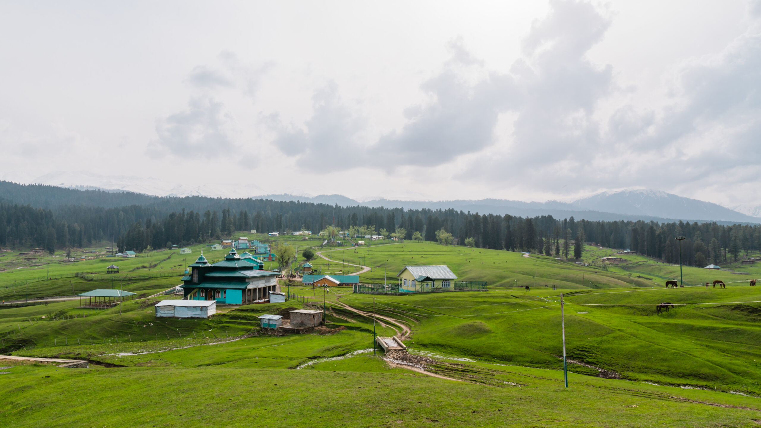 Lush green meadow and stream in Doodhpathri, Kashmir