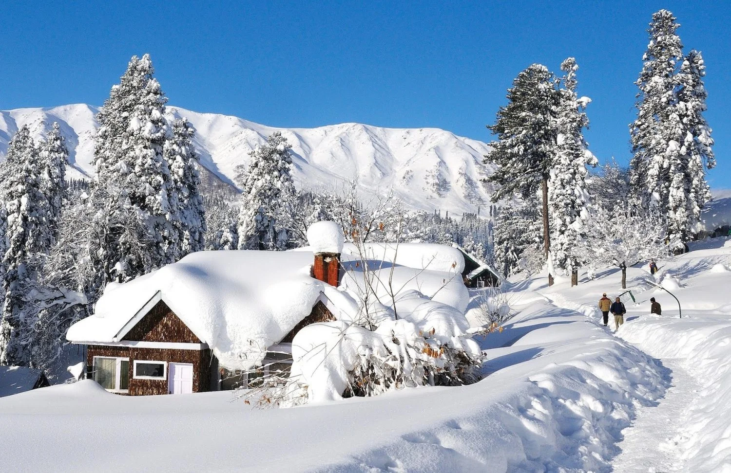 Snow-covered pine trees and snowmobile in winter Gulmarg